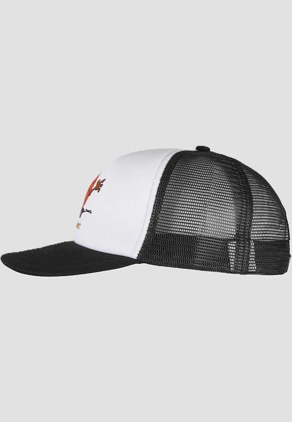 DEVIL BALL TRUCKER HAT-1