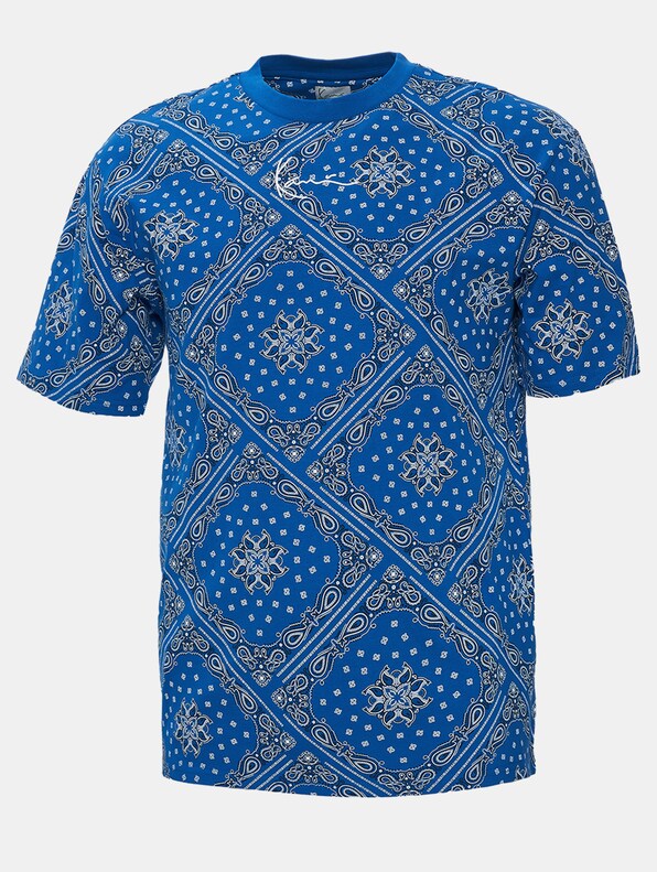 Small Signature Paisley-4