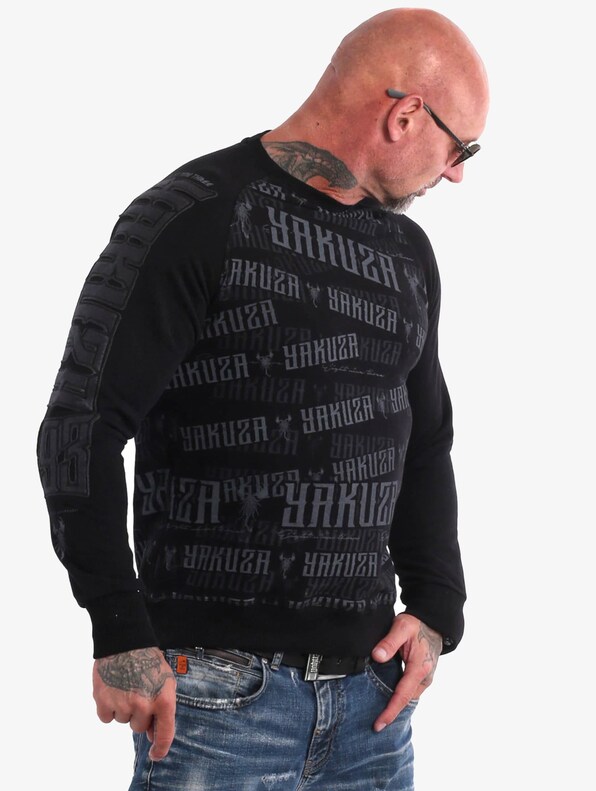 893Allover Raglan-3