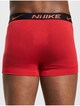 Trunk 2 Pack-5