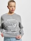 grey_17313