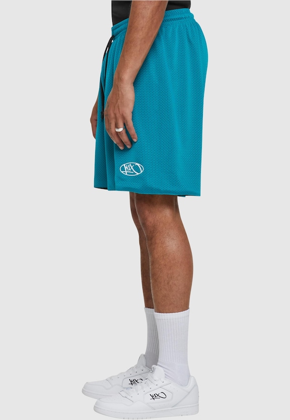 Reversible Mesh -2
