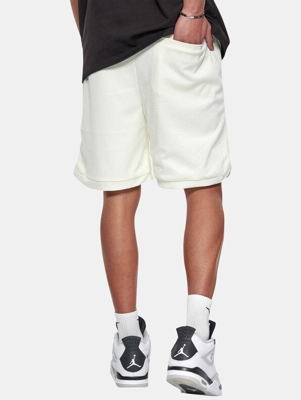 Dropsize V2 Mesh Shorts-1