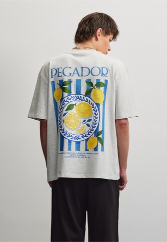 Palmela Oversized