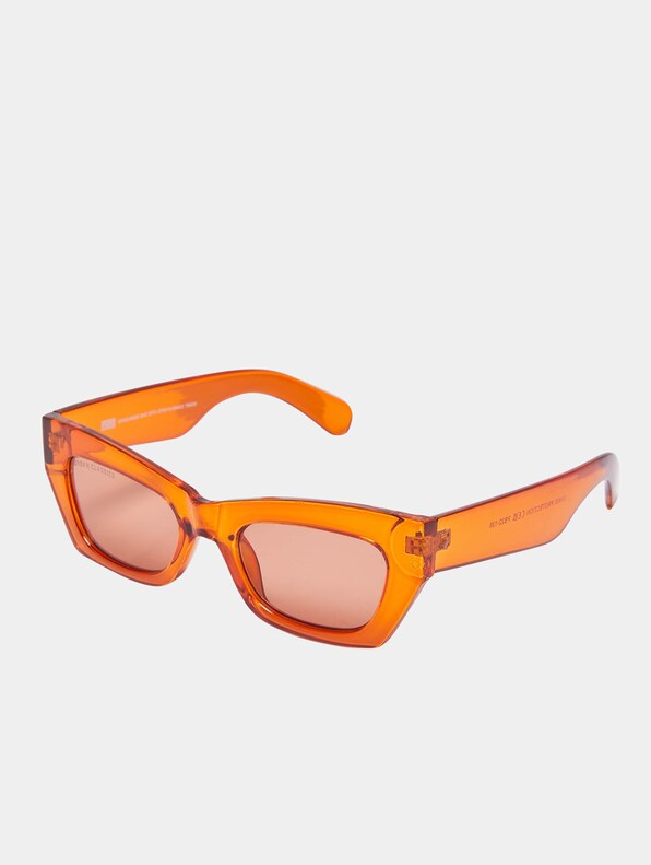 Sunglasses Bag With Strap & Venice-1