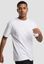 white_9229