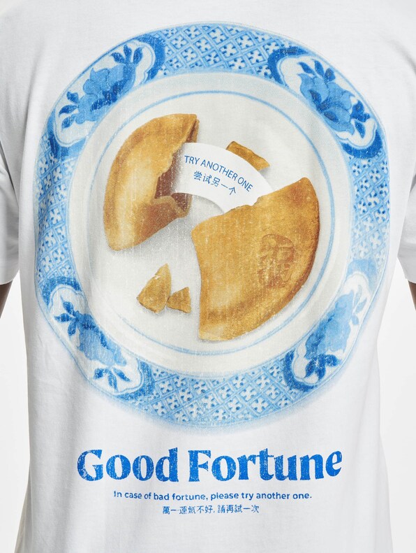 Good Fortune-3