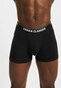 black_5572