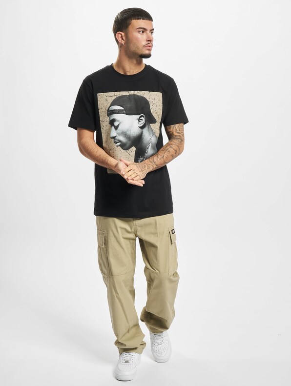 Tupac Cracked Background-4