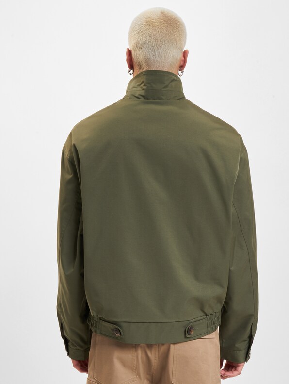 Santorini Harrington-1