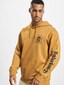 brown_10578