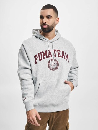 Puma Team Hoodie