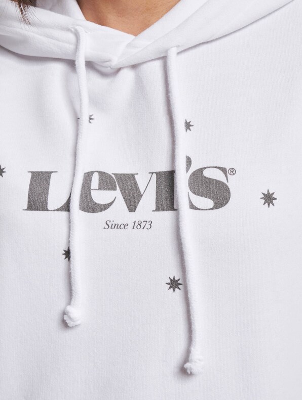 Levis Graphic Standard Hoodie-3