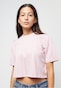 rose_157758