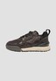 brown_187001
