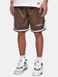 brown_135409