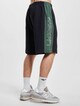 Lacoste Colorblock Shorts-1