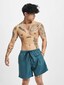 turquoise_7800