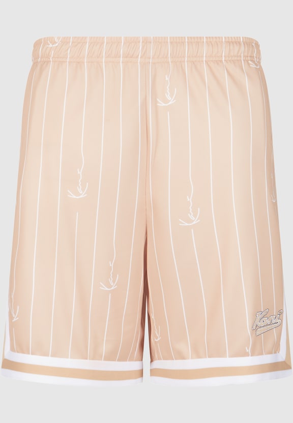 KM242-012-1 Karl Kani Small Varsity Logo Pinstripe Mesh Shorts-3