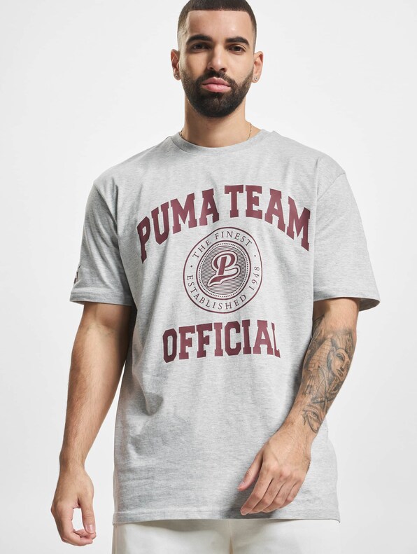 Puma Team Graphic T-Shirt Light Gray-0