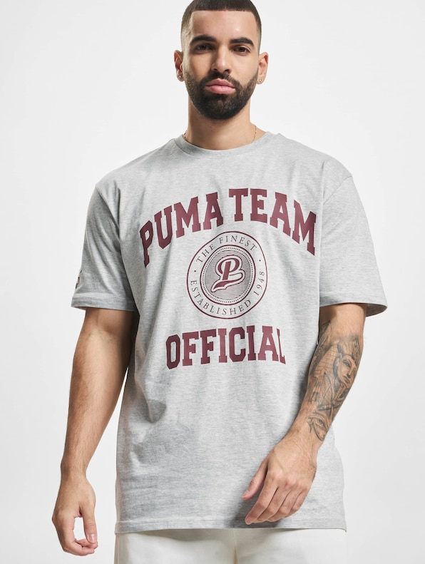 Puma Team Graphic T-Shirt Light Gray-0