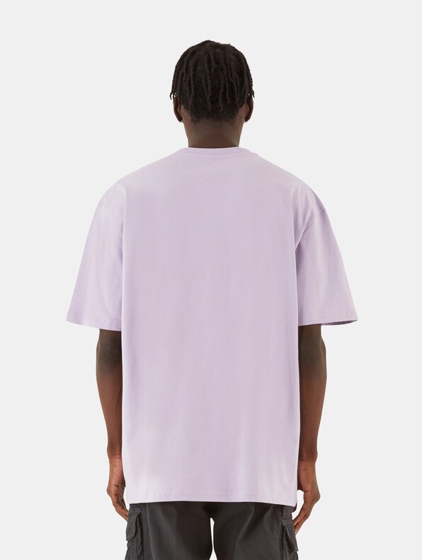 BUTTERFLY ILLUSION-1