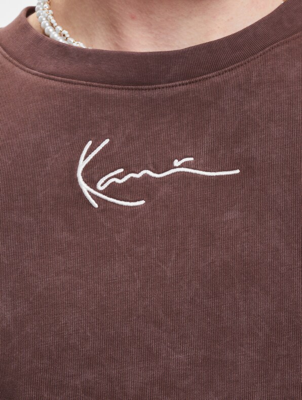 Small Signature Washed Heavy Jersey Landscape-4