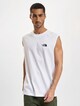 Oversize Simple Dome-0