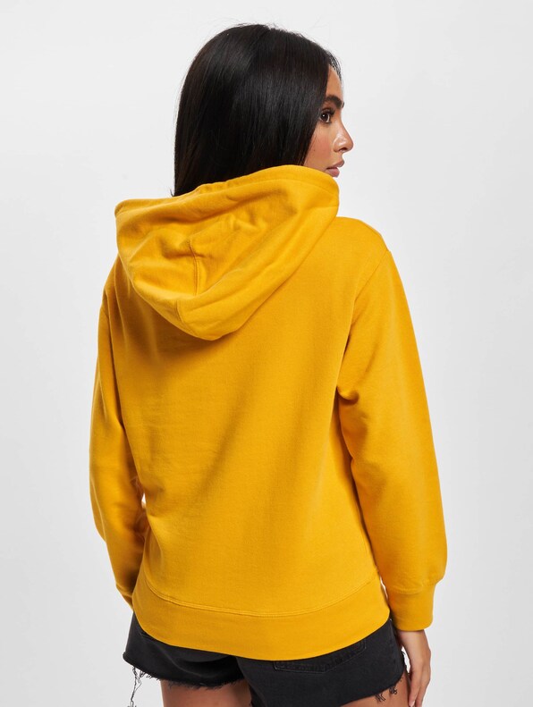 Levis Graphic Standard Hoodie-1