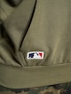 MLB Boston Red Sox Seasonal Team Logo-5