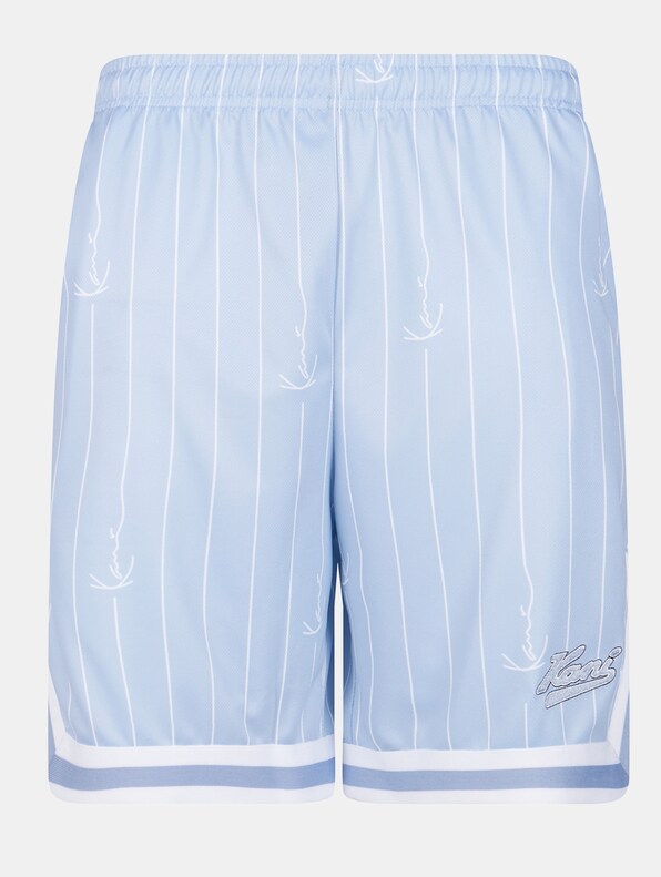 Small Varsity Logo Pinstripe Mesh-4