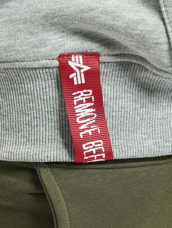 Alpha Industries Basic Small Logo Hoodies-4