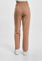 brown_13183