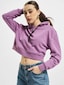 violet_6019