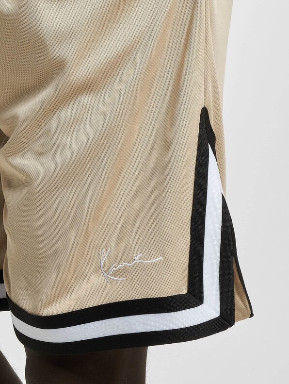 Small Signature Essential Mesh -3