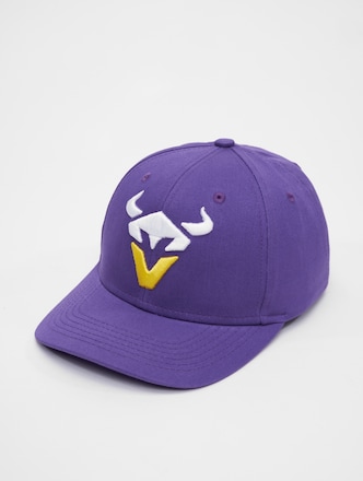  Vienna Vikings 