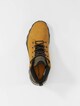 Treeline Trekker Mid-4