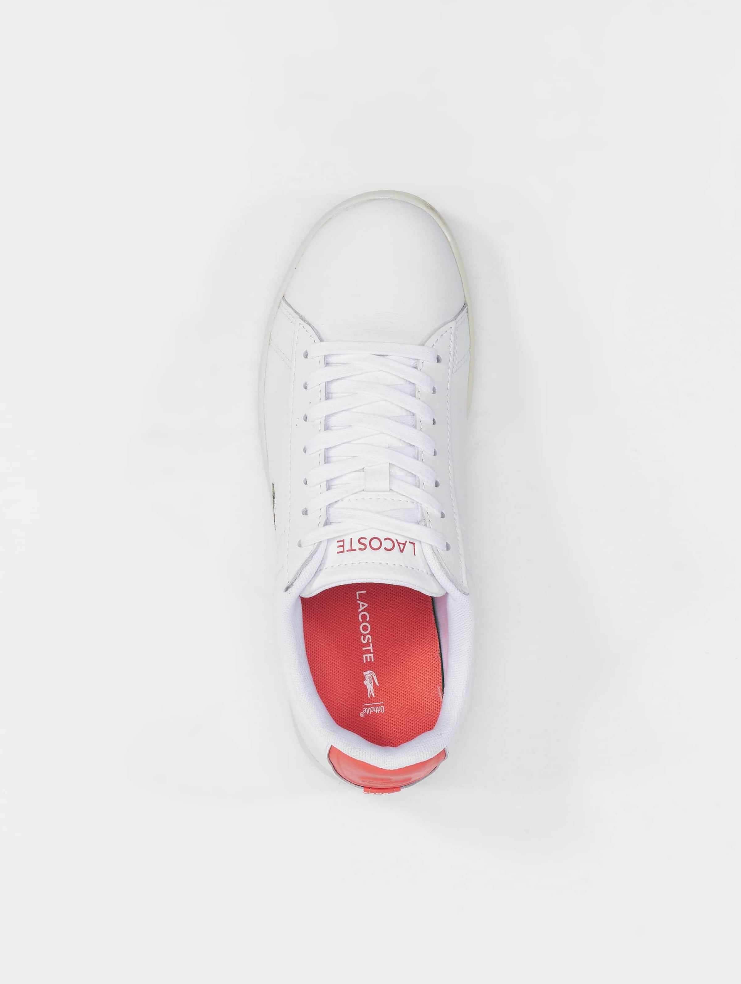 Lacoste carnaby evo best sale red