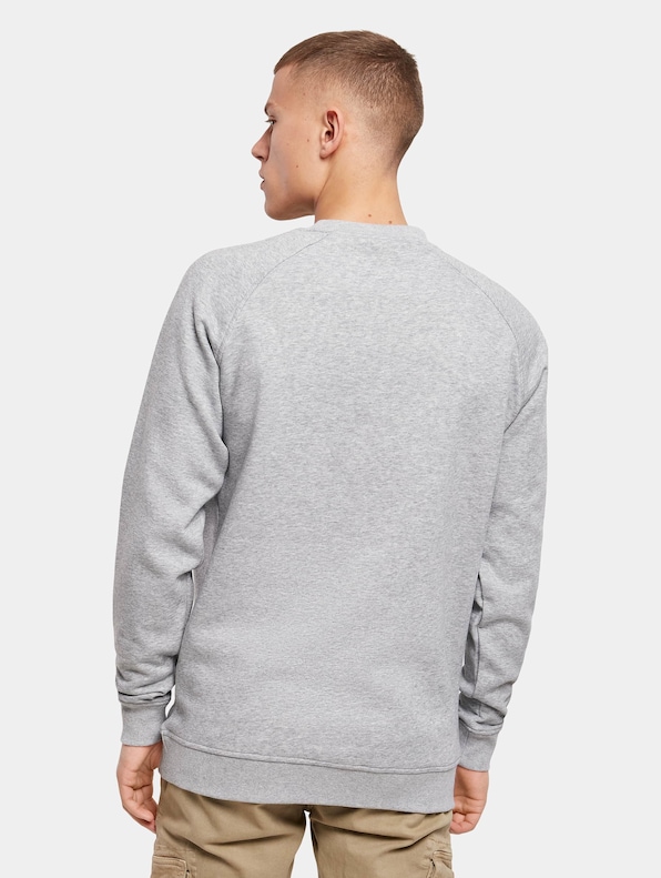 Raglan Sweat Crewneck-1