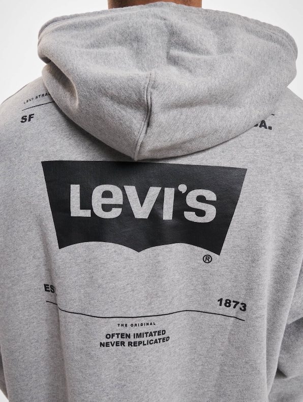 Levi's® Relaxed Graphic Hoody-3