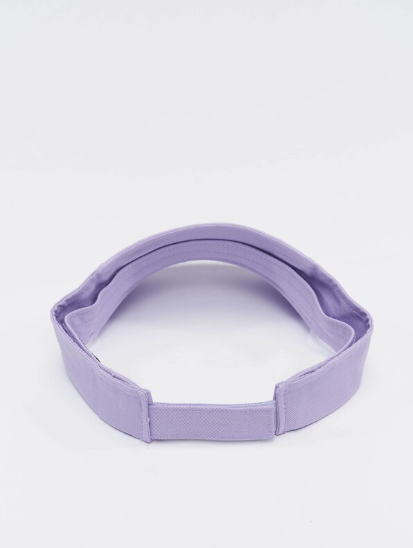 Curved Visor-1
