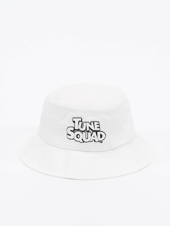 Tune Squad Wording