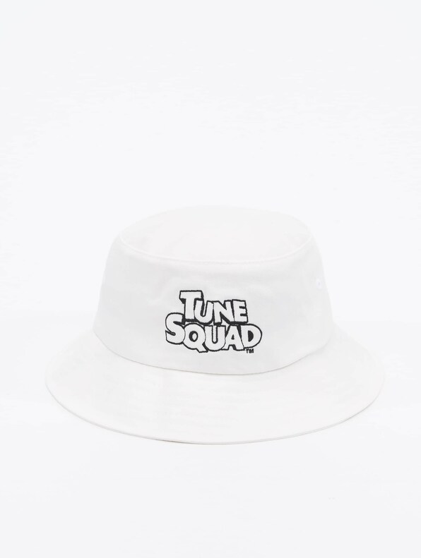 Tune Squad Wording-0