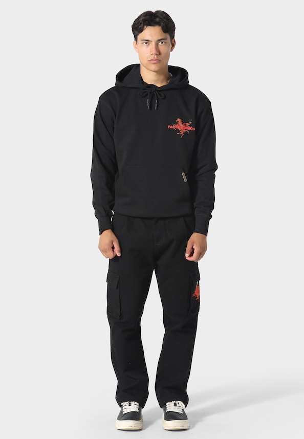 LA PEGAUS CHEVRON HOODY-2