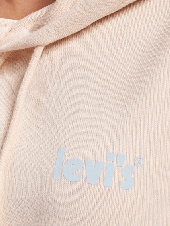 Levis Graphic Standard Hoodie-3