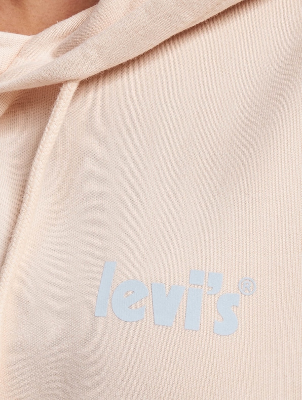 Levi's Graphic Standard Hoodies-3