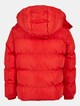 Hooded Puffer-1