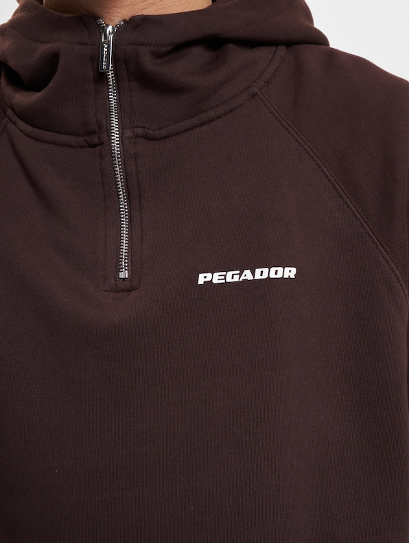 PEGADOR Logo Oversized Halfzip Hoodie  gum-3