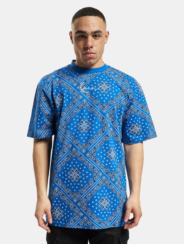 Small Signature Paisley-2