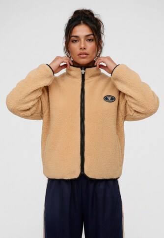 Script Patch Teddy